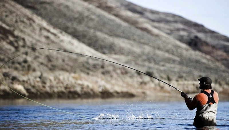 Guided Fly Fishing Trips Deschutes River