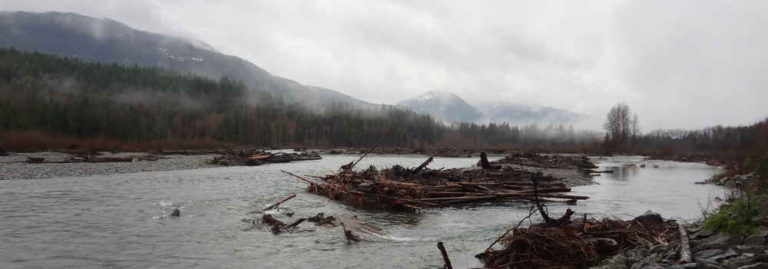 Guided Fly Fishing Trips on The Cowlitz River | The Portland Fly Shop