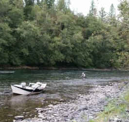 Guided Fly Fishing Trips on The Cowlitz River | The Portland Fly Shop