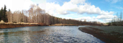 Guided Fly Fishing Trips on The Wynoochee River | The Portland Fly Shop